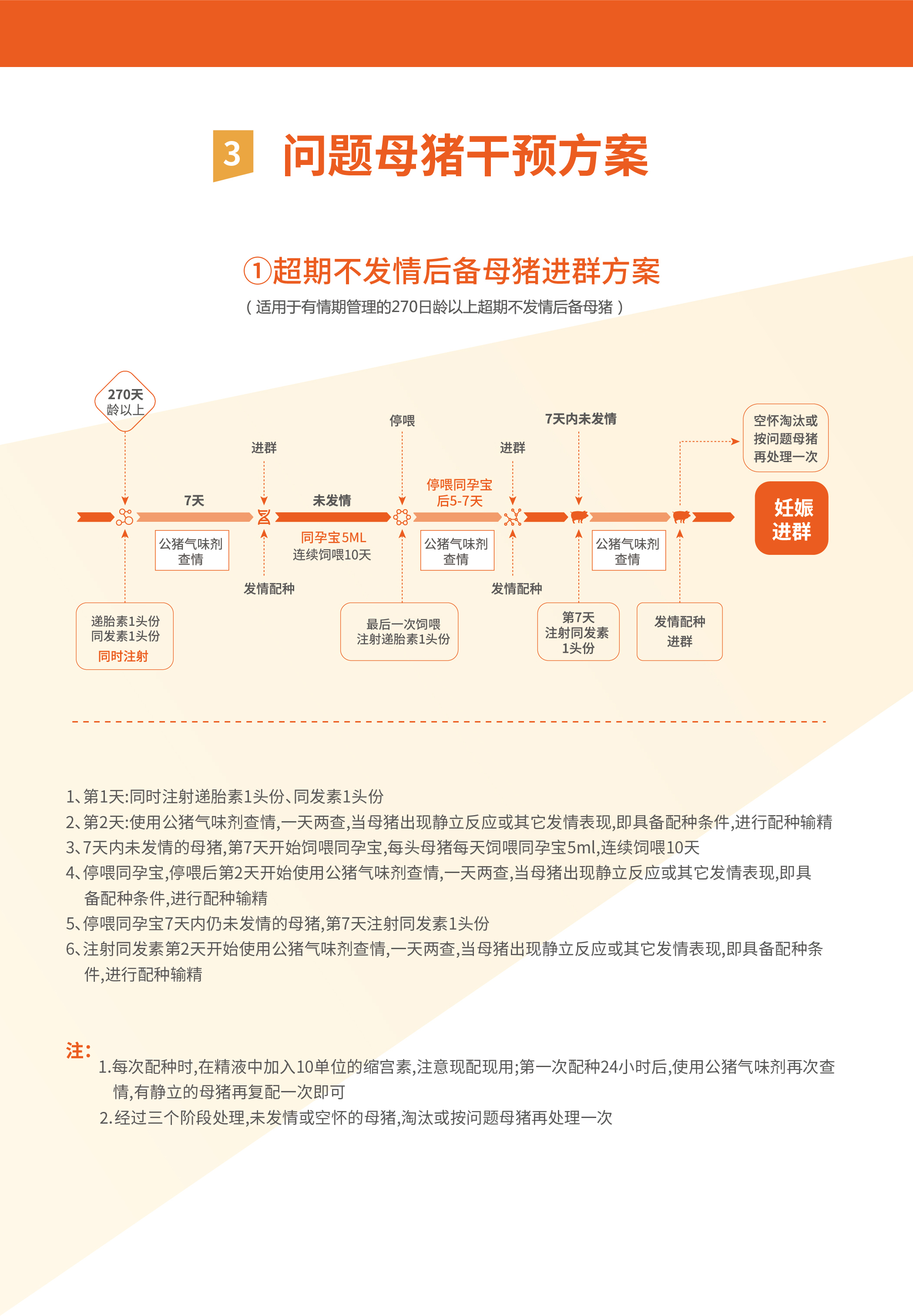 新猪方案05.jpg